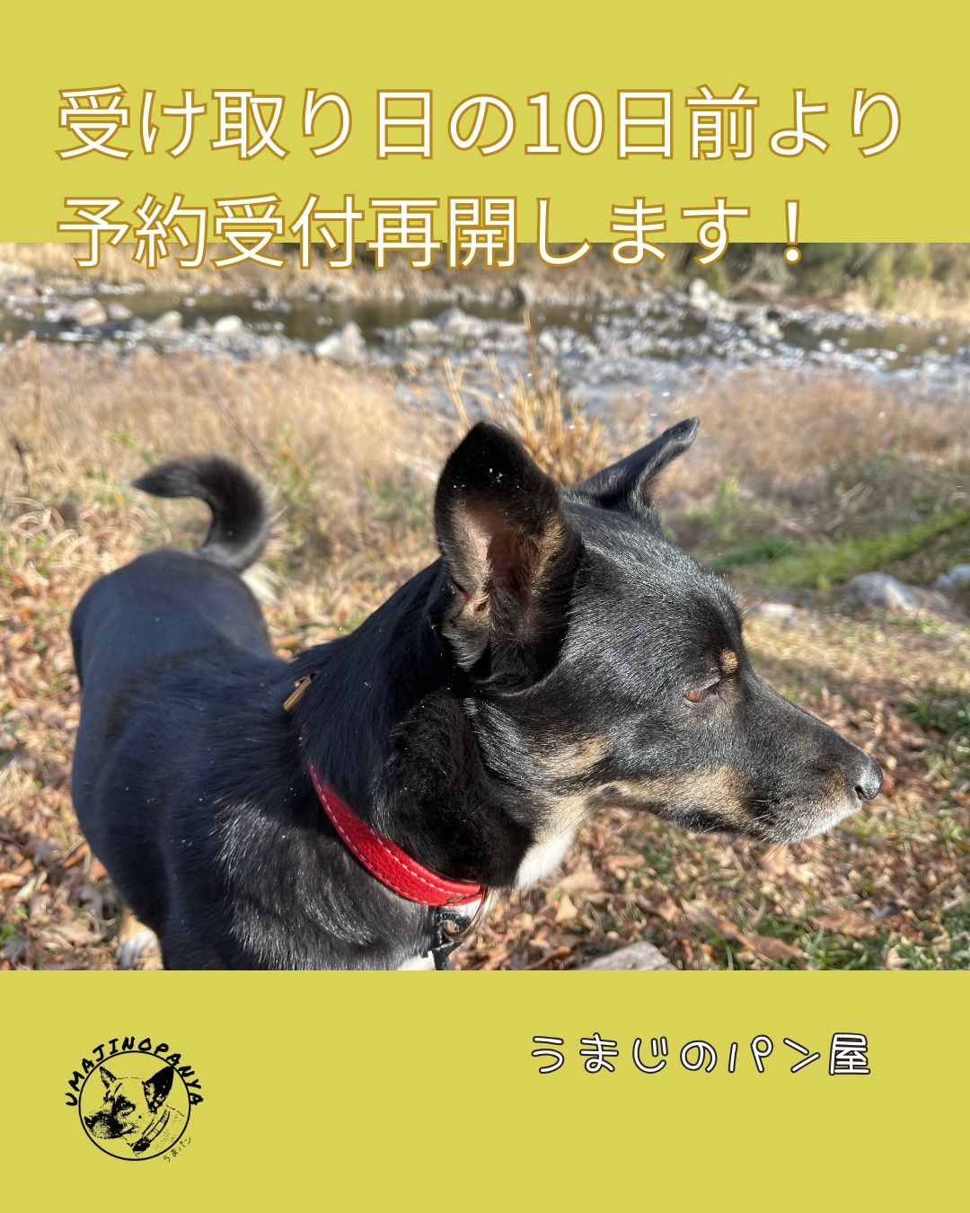 事前予約再開！！