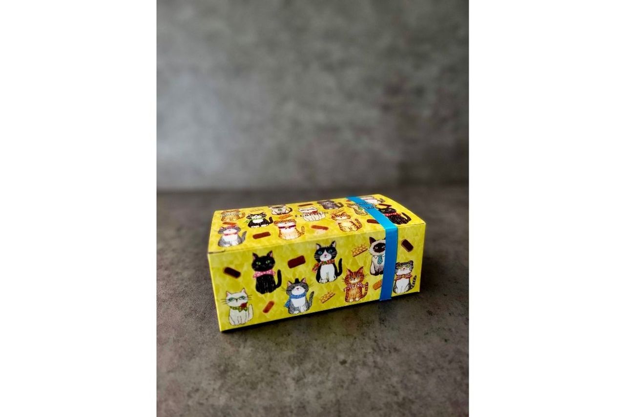宝箱デザインパッケージ：クッキーキャット