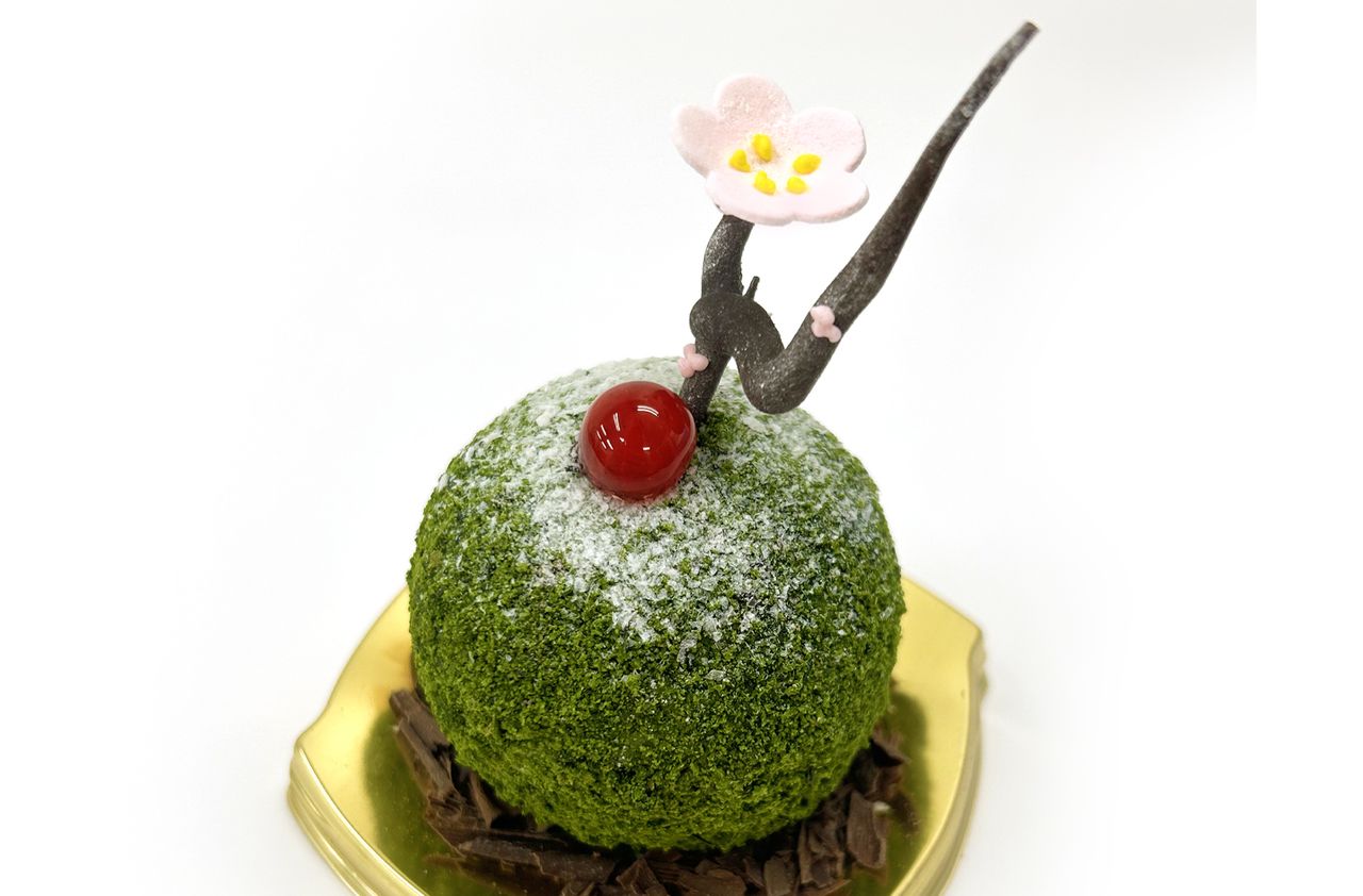 【カフェ】苔玉（12/1～2/28）