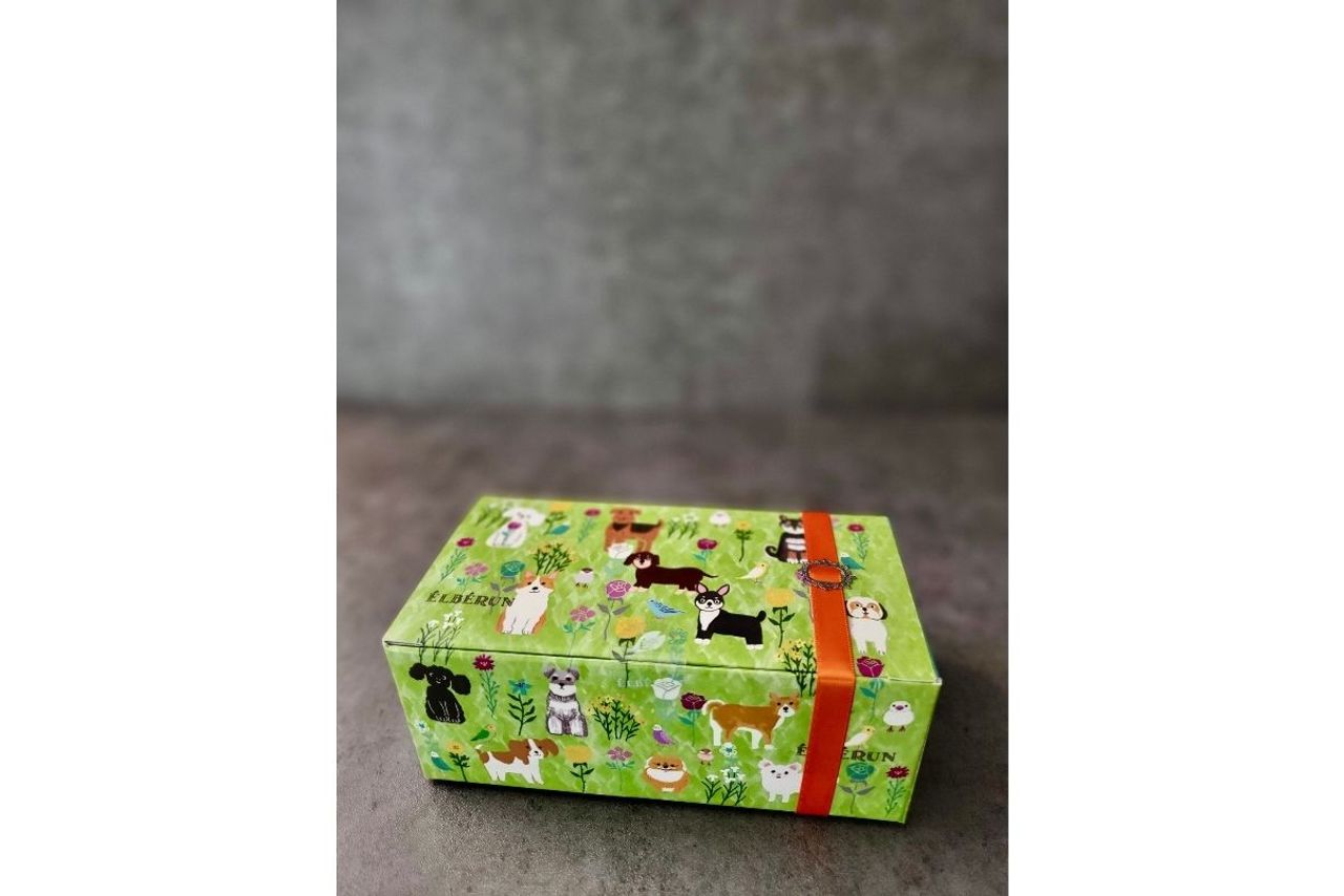 宝箱デザインパッケージ：ドッグランド