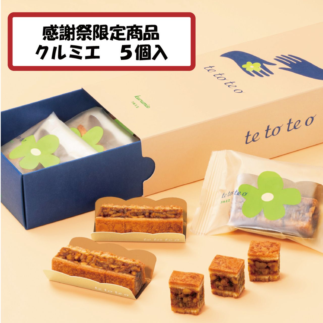 tetoteoクルミエ５個入