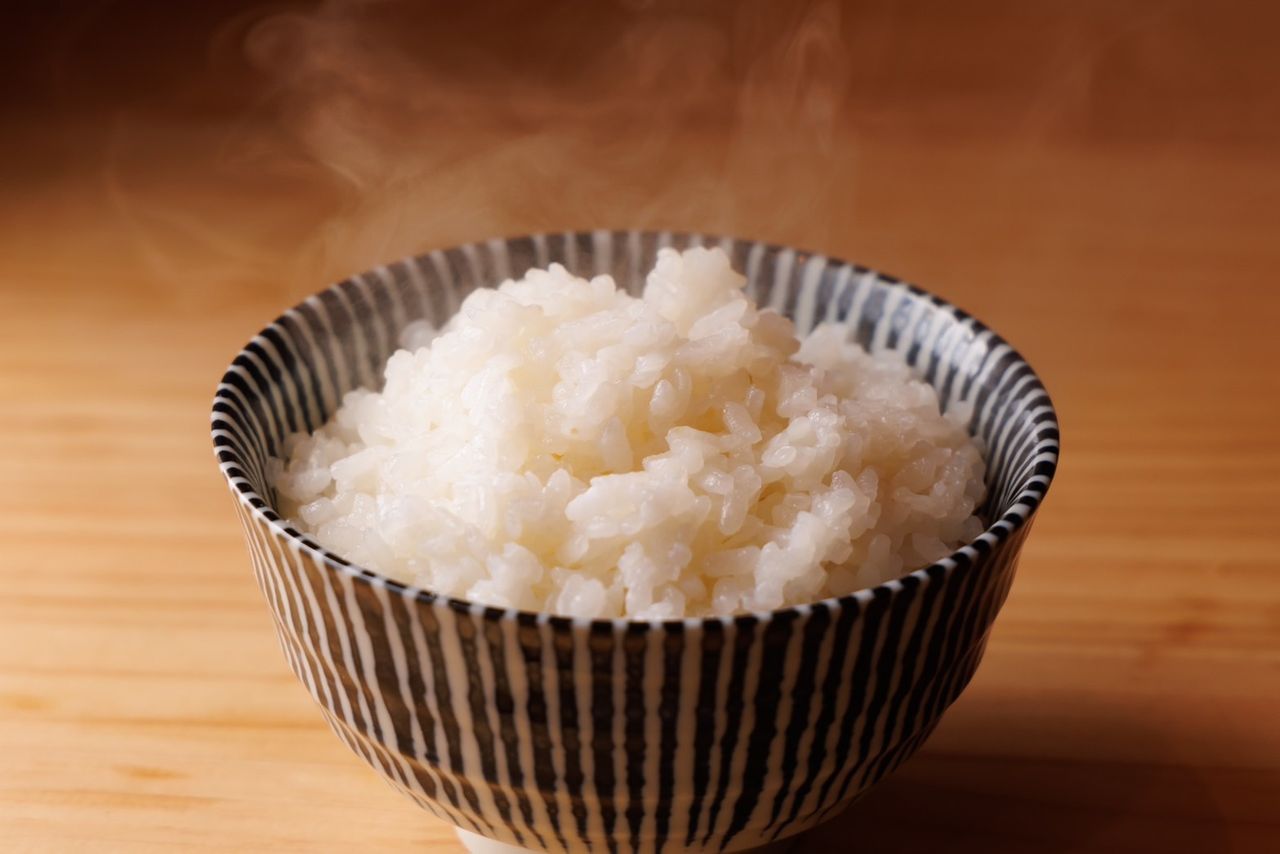 単品　ご飯