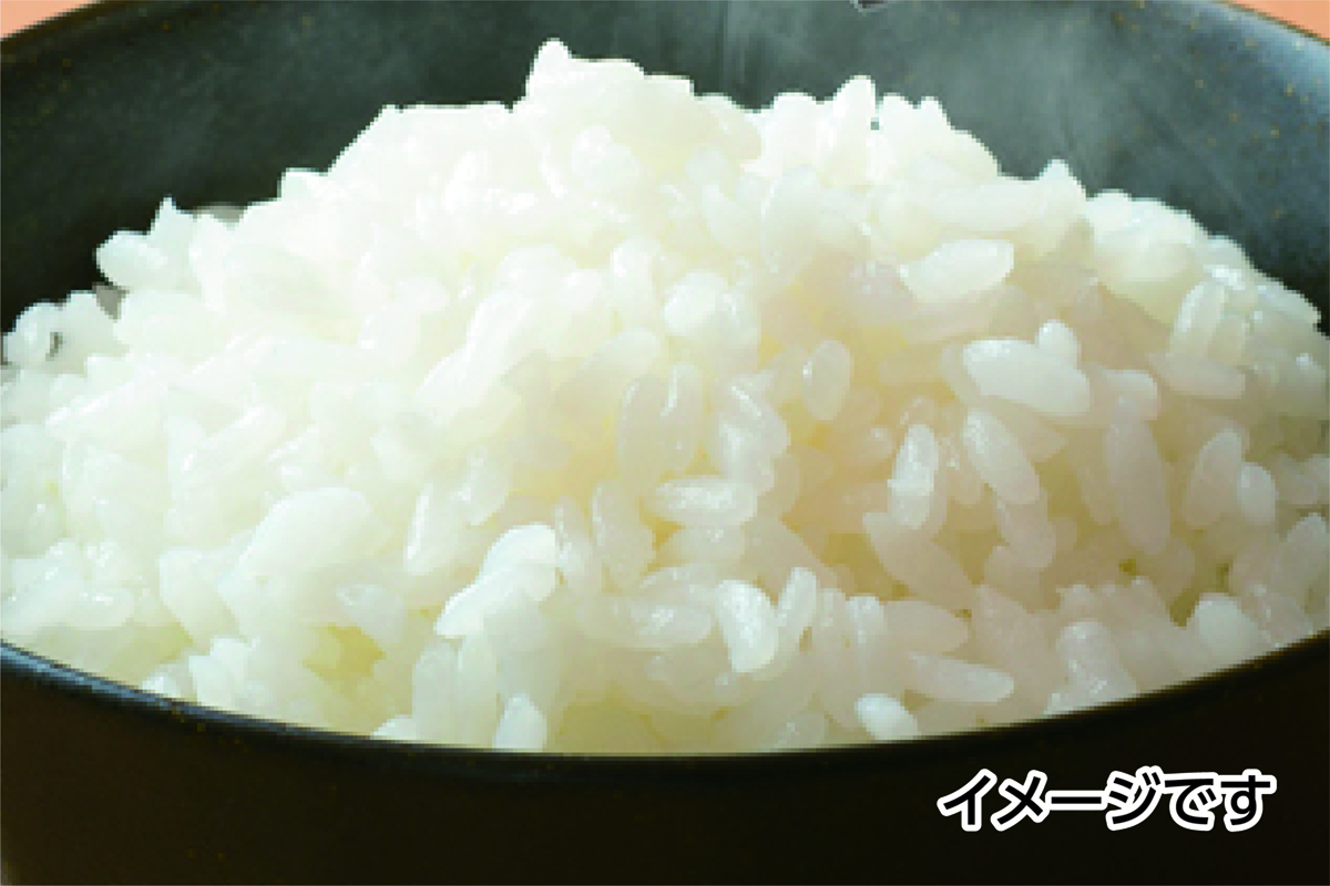 特別栽培米コシヒカリ横綱米　白ごはん