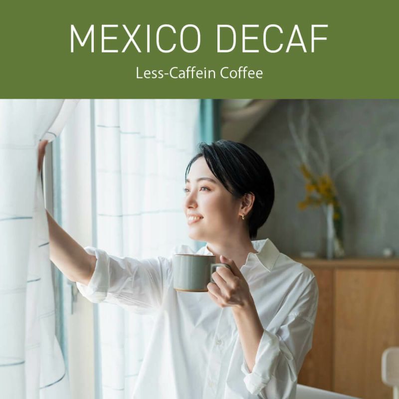 メキシコ デカフェ カフェインレス（HOT)〈〉