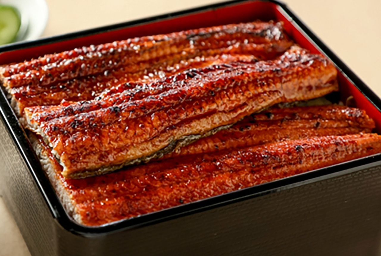 国産うな重　竹　3/4尾