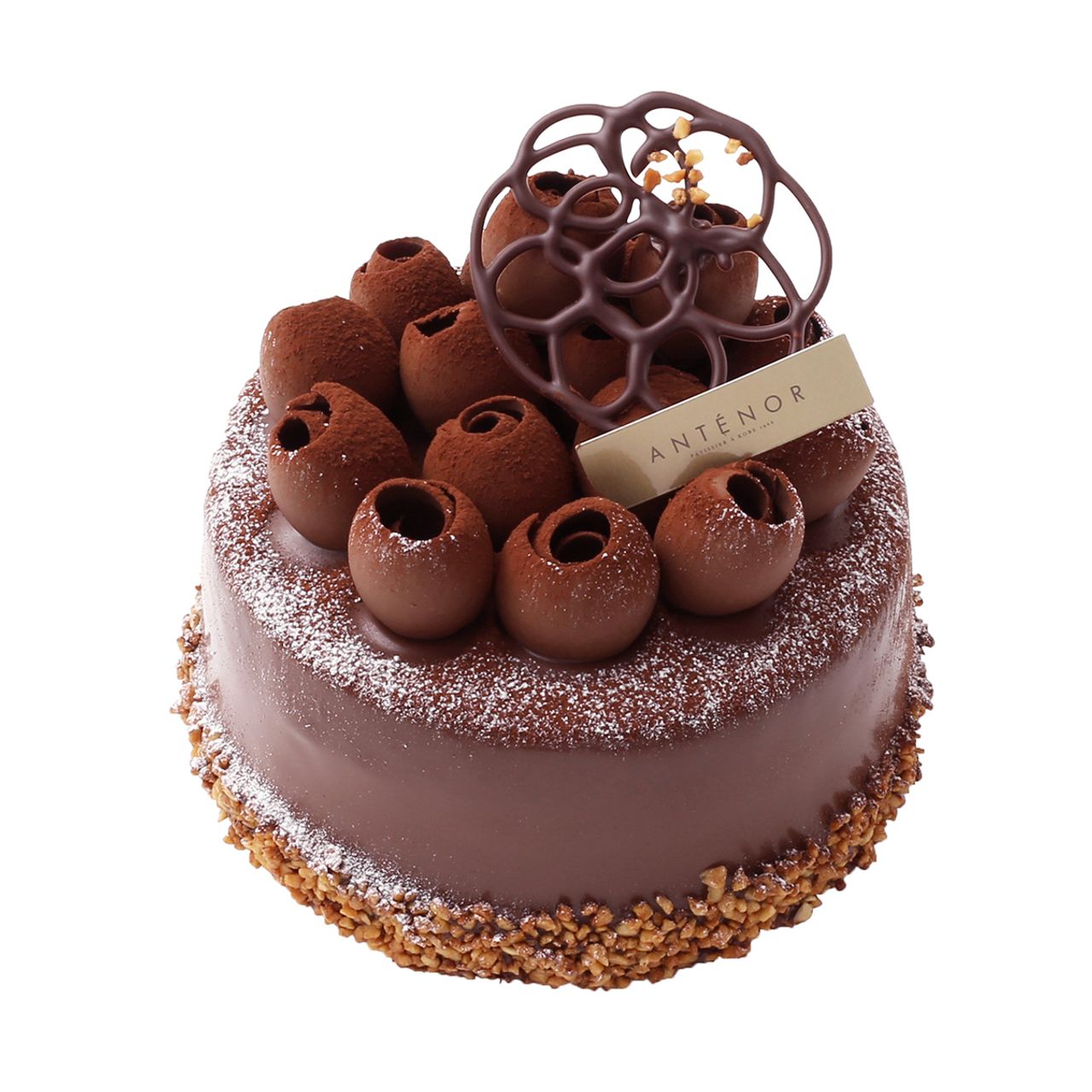 【12:00までご予約で最短2日後受取OK】ガナッシュ・ショコラ　１２㎝　②